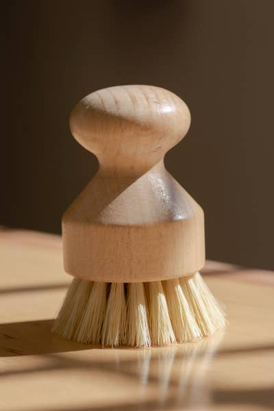 Dishwashing and Vegetable Hand Brush