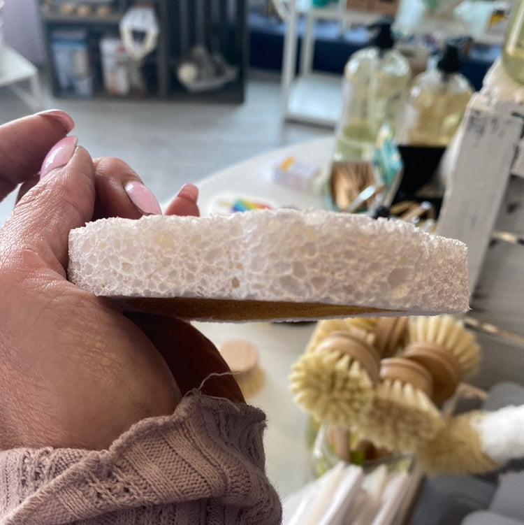 Fun Sponge