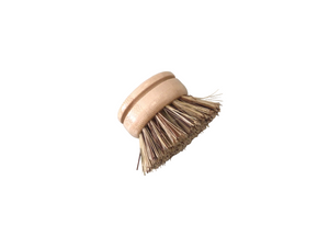 Replacement Dish Brush Head (tough bristle)