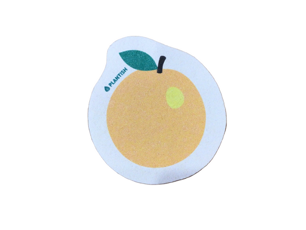 Orange - Pop up Sponge