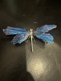 blue dragonfly with tattered wings on dark surface