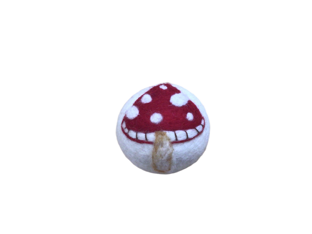 Eco Dryer Balls