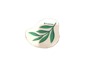 Leaves - Pop up Sponge
