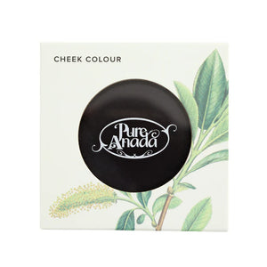 Empty Pressed Blush Compact