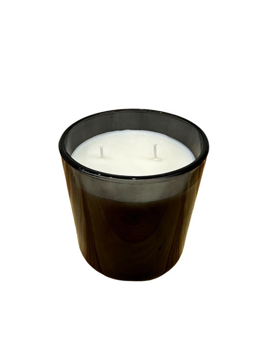 (Made in house) 2 Wick Bugs at Bay Candle Soy/Essential Oils Citronella