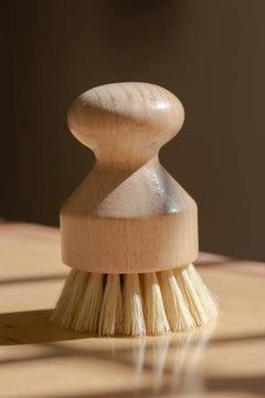 Hand Brush