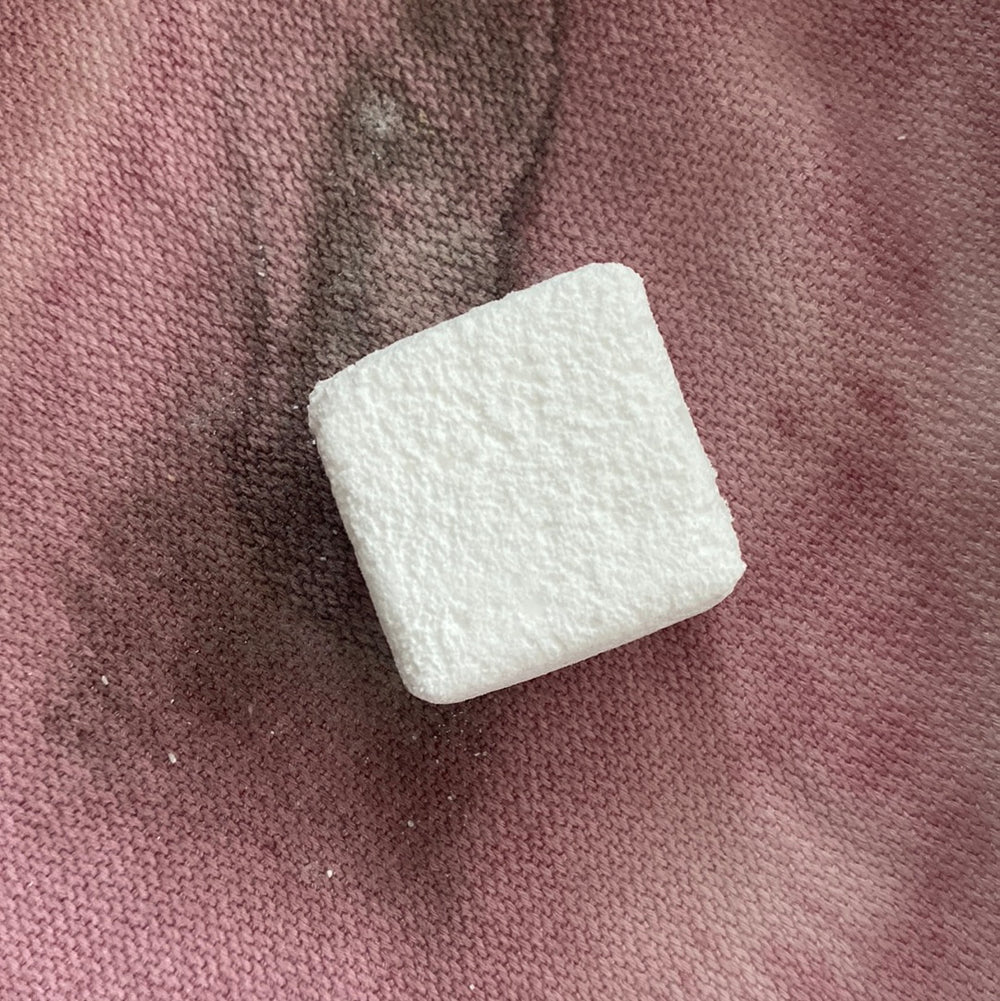 Eucalyptus Shower Melts – Made In-House